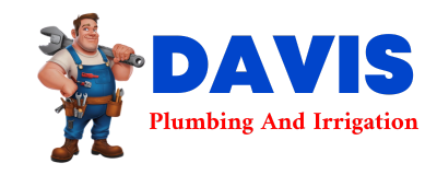 Trusted plumber in POTTS CAMP